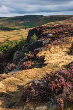 Stunning Peak District landscape from Surprise View with vibrant heather and dappled sunlight over the hills