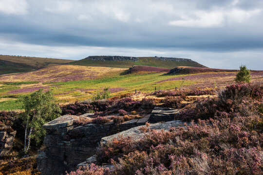 Stunning Peak District landscape from Surprise View with vibrant heather and dappled sunlight over the hills
