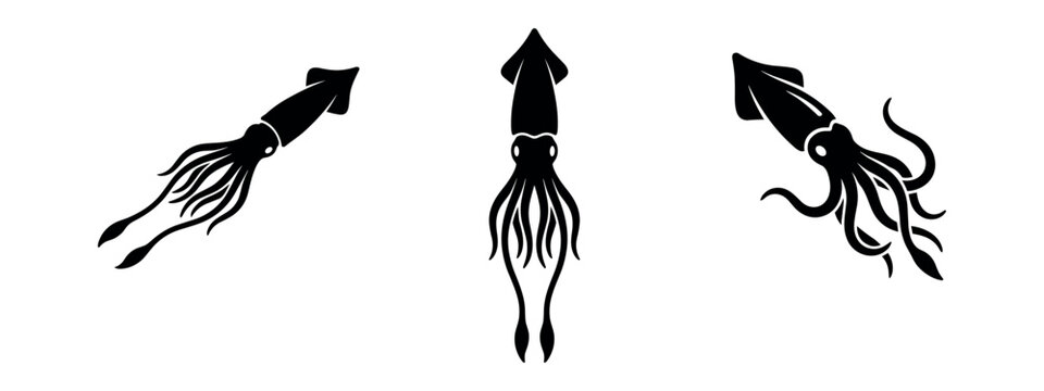 Diverse black silhouette squid icons set on white background, marine life illustration