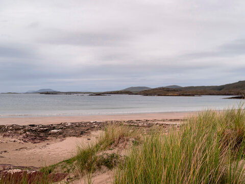 Coastal scene with calm water, sandy beach, and grassy dunes. Distant hills under overcast sky. Natural, serene landscape perfect for travel or nature themes. Ideal for websites, presentations