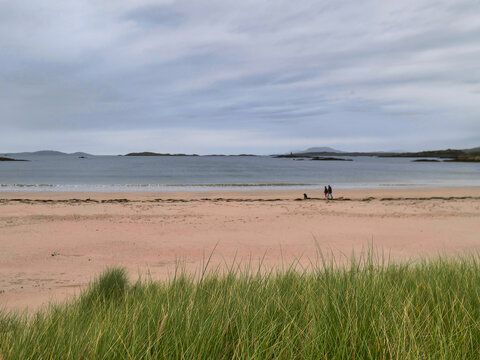Serene beach scene with soft pink sand and calm water. Two distant figures stroll near shoreline under cloudy sky. Green grass frames foreground, adding texture and depth. Perfect for travel, nature