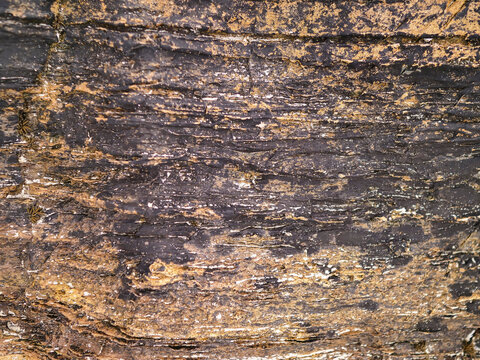 Rugged rock face with layered textures and earthy tones. Deep crevices and weathered surfaces add natural depth. Ideal for backgrounds, design projects, or nature-themed compositions