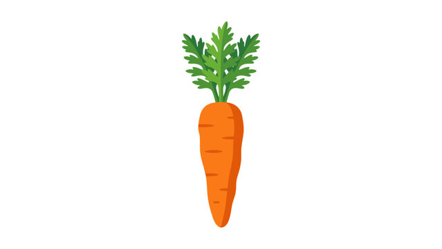 orange carrot organic vegetable agriculture farm healthy diet natural raw food vegetarian vegan culinary graphic object flat vector illustration single icon design