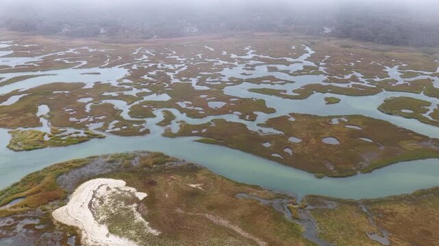 Low clouds drift over a beautiful salt marsh growing in Orleans, Massachusetts. Salt marshes are an incredibly important coastal habitat used by many species of fish, birds, and shellfish.
