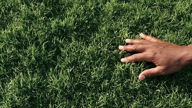 Close-up of a hand resting on dense green grass