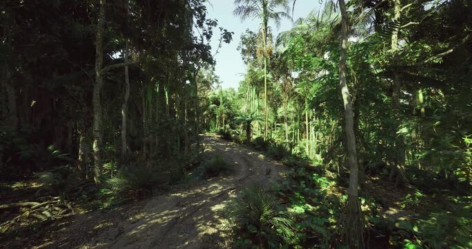 Mountain ridge walk through dense foliage and rocks, Scenic path across rugged natural landscape characterized by tropical trees and scattered stones