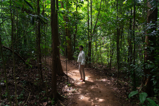 Hiking on a forest trail