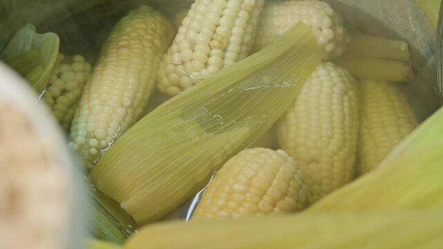 Fresh corn cobs boiling in hot water pot for mexican street food