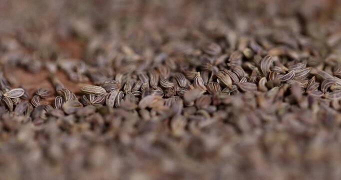 Dry brown parsley grains texture on wood desk, aromatic culinary parsley seeds spice heap lying on kitchen table counter close up