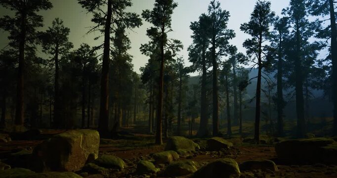 Forested park safeguarding diverse flora and rocky landscapes, Protected woodland zone featuring thriving vegetation and rugged terrain diversity