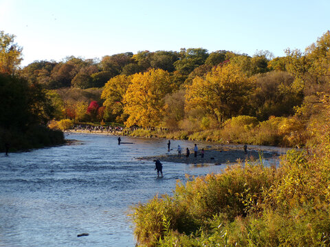 Fall landscape with river and trees