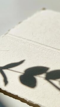 Vertical video: Drifting shadow of leafy branch on pale paper at desk deckled edge as sun shifting