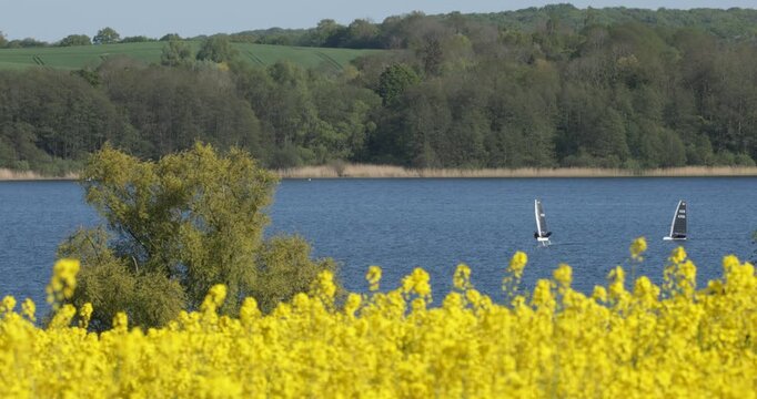 Windsurf Foiling, Rape Fields, Gro&szlig; Sarau, Gro&szlig;er Ratzeburger See, Schleswig-Holstein, Germany
