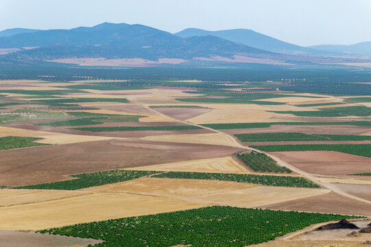 Europe, Spain, La Mancha agricultural landscape the plains