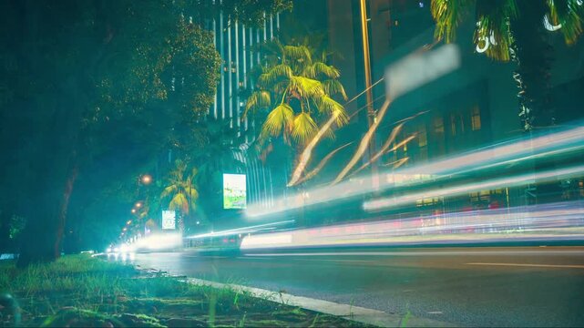 Car Light Trails on Palm-Lined City street at Night, Urban Traffic Timelapse with Long Exposure Headlights and Fast Moving Vehicles Passing Modern Buildings.