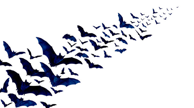 Flock of blue bats flying in a diagonal line on transparent background