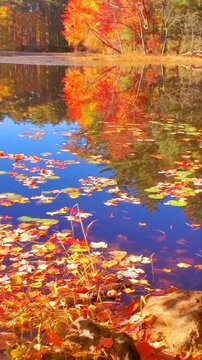 Vibrant Autumn Foliage Perfectly Mirrored on a Calm Mirror-Like Lake Surface