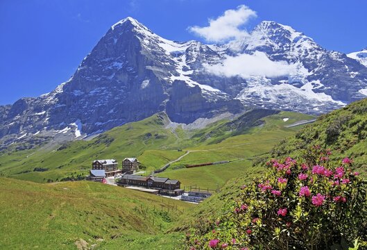 Kleine Scheidegg off the Eiger and M&ouml;nch, Wengen, Jungfrau region, Bernese Alps, Bernese Oberland, Canton of Bern, Switzerland, UNESCO World Natural Heritage