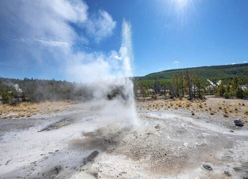 Water fountain in a steaming hot spring, Noris Geyser Basin, Yellowstone National Park, Wyoming, USA