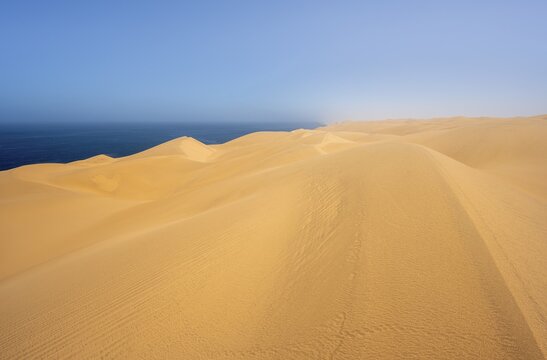 Sand dunes with wave patterns, dune sea, sandy desert, impressive desert landscape, Namib Naukluft Park, Namib desert, Namibia