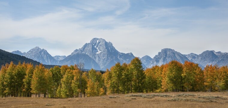 Mountain panorama of the Teton Range, summit of Mount Moran, autumn coloured trees, Grand Teton National Park, Wyoming, USA