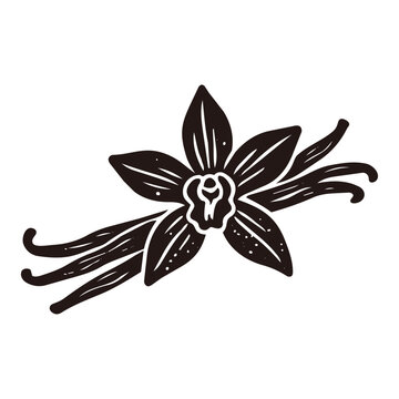 Vanilla Vector Icon Illustration for Flavoring and Dessert Ingredient／バニラ・香料・スイーツ素材のベクターアイコンイラスト