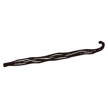 Vanilla Vector Icon Illustration for Flavoring and Dessert Ingredient／バニラ・香料・スイーツ素材のベクターアイコンイラスト