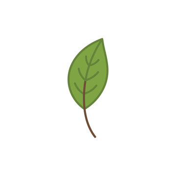 A simple hand drawn green leaf illustration on a white background.
