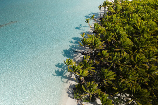 Aerial view of Aitutaki featuring lush palm trees lining a pristine white sand beach and crystal clear turquoise water, Cook Islands.