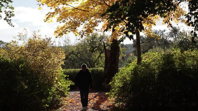 Stockholm, Sweden A man walks through a public park in the golden autumn sunshine. 