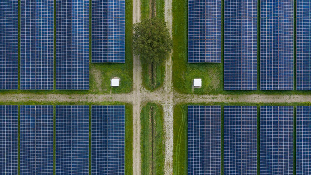 Aerial view of a solar park with rows of photovoltaic panels, a central dirt path, and a green tree in The Netherlands.