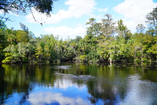 trout creek park and Hillsborough river landscape