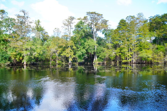 trout creek park and Hillsborough river landscape