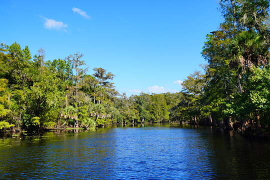 trout creek park and Hillsborough river landscape
