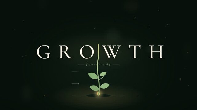 Growth from seed to sky animated plant sprout with measurement scale