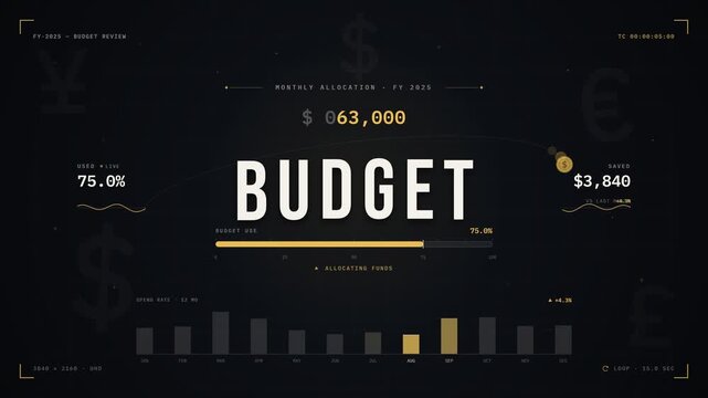 Financial budget monthly allocation data analytics dashboard charts and currency symbols