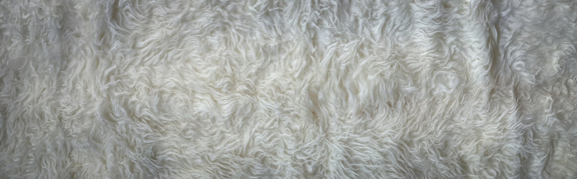 Soft fluffy white fur seen at close range, highlighting fine strands and subtle organic waves for cozy backgrounds, fabric styling, fashion projects, and tactile visual concepts for applications