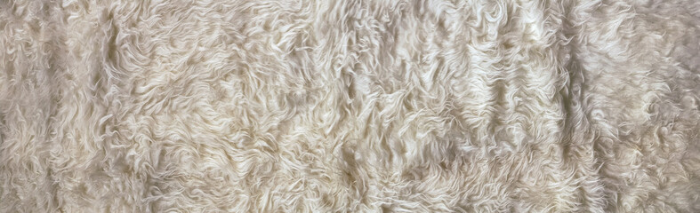 Macro white fur background with dense short hairs, gentle waves, and a plush inviting surface, suited to textile design, soft material studies, product backdrops, and creative layouts design © Entas