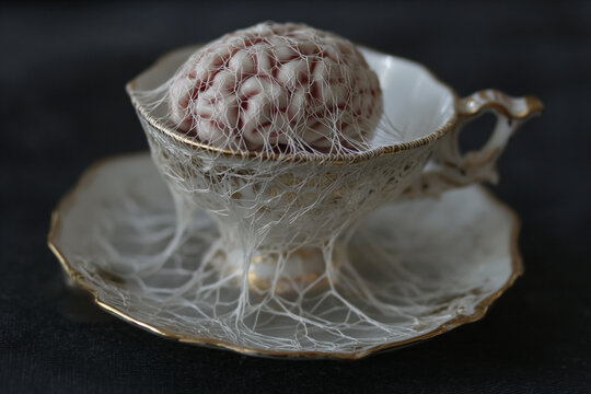 Human brain model inside vintage porcelain teacup wrapped in white
