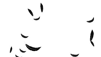 illustration of black feathers flying, made for elements in illustrations related to Halloween © nean studio