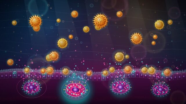 Allergic rhinitis pollen particles entering nasal mucosa and triggering histamine immune response