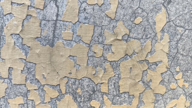 Cracked and peeling paint across an aged concrete wall, exposing crumbling plaster and rough details for grunge textures, industrial backdrops, and rustic creative design for visual projects.