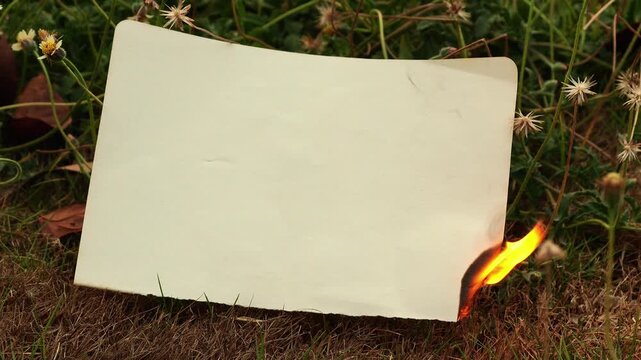 Burning white paper with empty space on green grass lawn representing destruction, secret, or drama