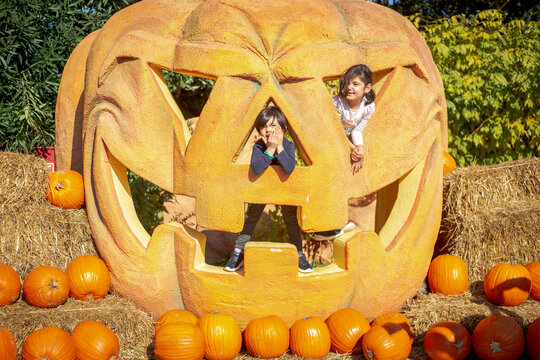 Two Children Playing Inside a Giant Pumpkin Sculpture at an Autumn Pumpkin Patch