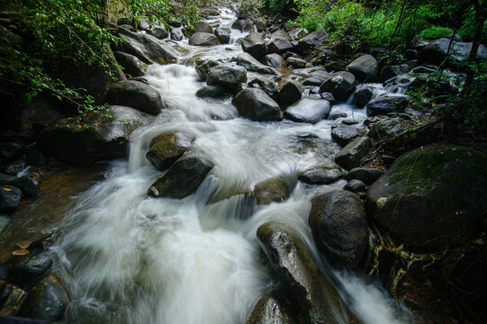 Mountain Stream Flow Over Rocks in Forested Natural Landscape