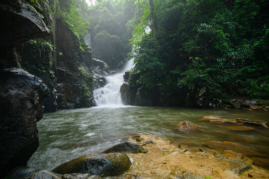 Serene Forest Stream with Waterfall Flowing through Lush Green Jungle Landscape