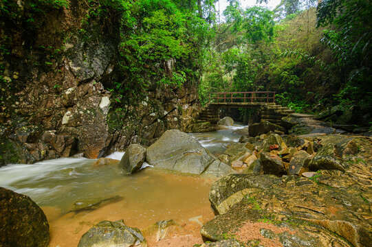 Scenic mountain river flowing through lush green forest with wooden bridge