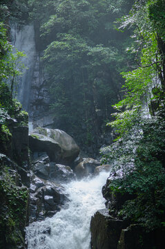 Waterfall and lush greenery in a tropical rainforest setting