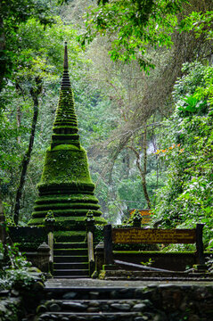 Ancient Stone Pagoda Tower Surrounded by Lush Greenery in Forest Setting