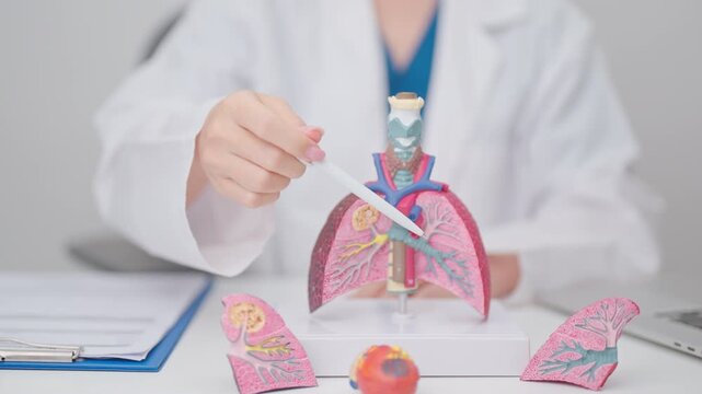 Doctor with Smoker Lung anatomy with magnifying glass. Lung Cancer, Asthma, Chronic Obstructive Pulmonary or COPD, Bronchitis, Emphysema, Cystic Fibrosis, Bronchiectasis, Pneumonia and world Lung day